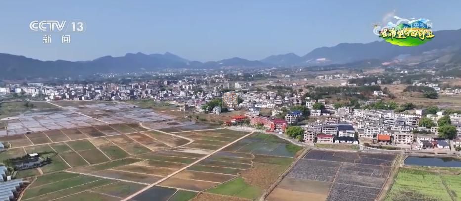 AI模型、“北斗”、物聯(lián)網(wǎng)……智慧農(nóng)業(yè)成為田間地頭新常態(tài)(圖13)