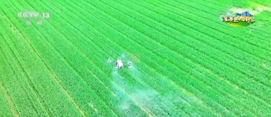 AI模型、“北斗”、物聯(lián)網(wǎng)……智慧農(nóng)業(yè)成為田間地頭新常態(tài)(圖14)