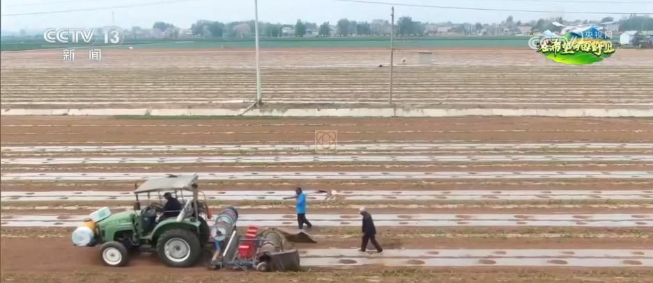 AI模型、“北斗”、物聯(lián)網(wǎng)……智慧農(nóng)業(yè)成為田間地頭新常態(tài)(圖8)